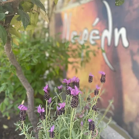 Nefeli Htl Aparthotel 2*