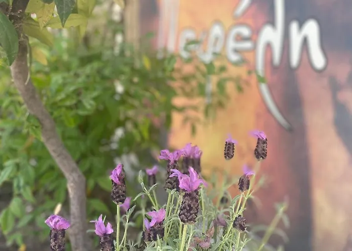 Nefeli Htl Aparthotel 2*